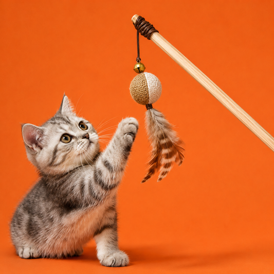 Caña de Pescar Poileo™ – Pluma & cascabel para gato