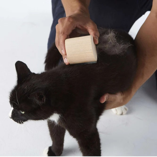 Cepillo Poileo Gato
